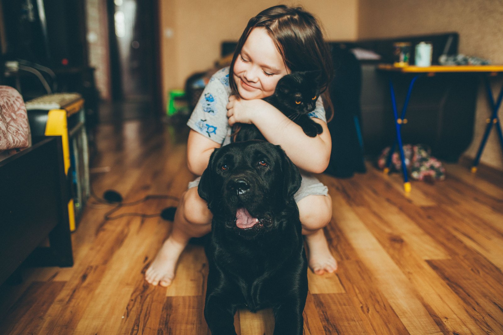 Assistance dog traveling with its handler